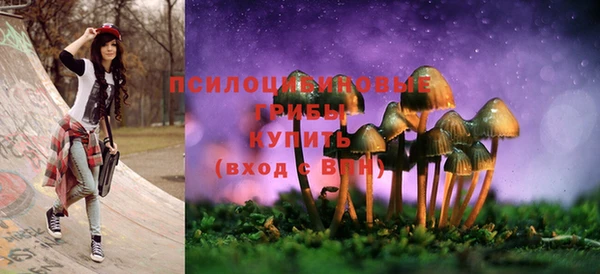 ALPHA PVP Баксан
