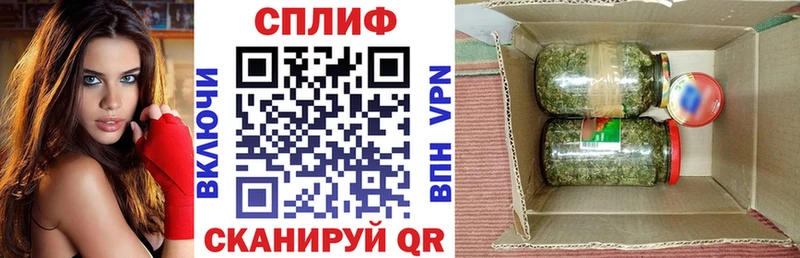 Каннабис сатива  Кыштым 